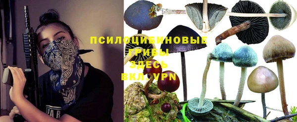 гашик Алзамай