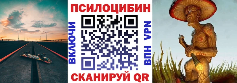 Псилоцибиновые грибы Psilocybe Каргат